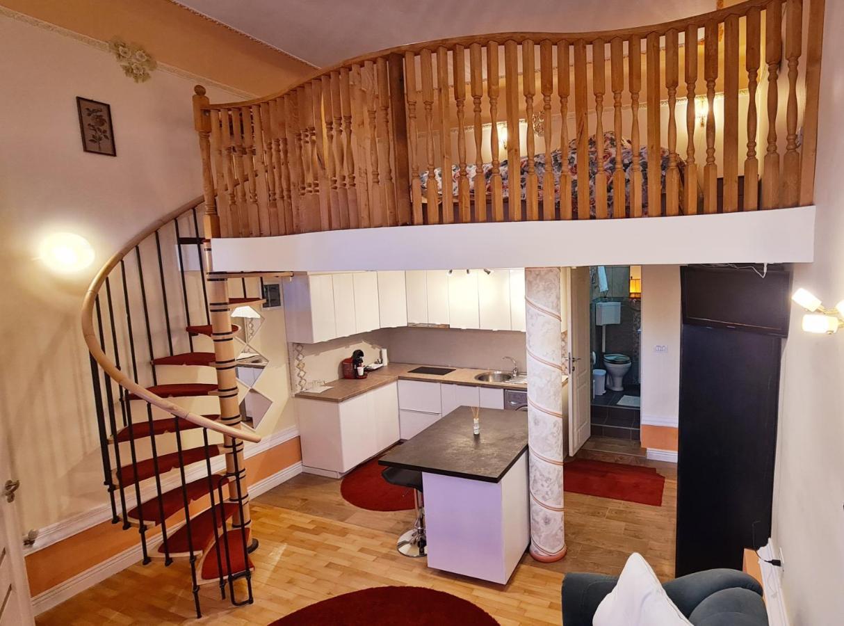 River Residence ティミショアラ エクステリア 写真